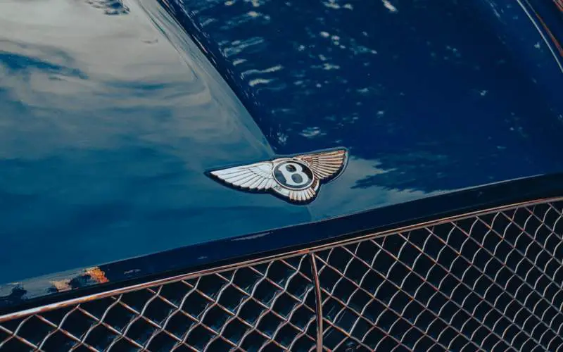 The Winged Logo Changes Depending on the Car