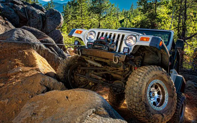 Winch Buying Guide