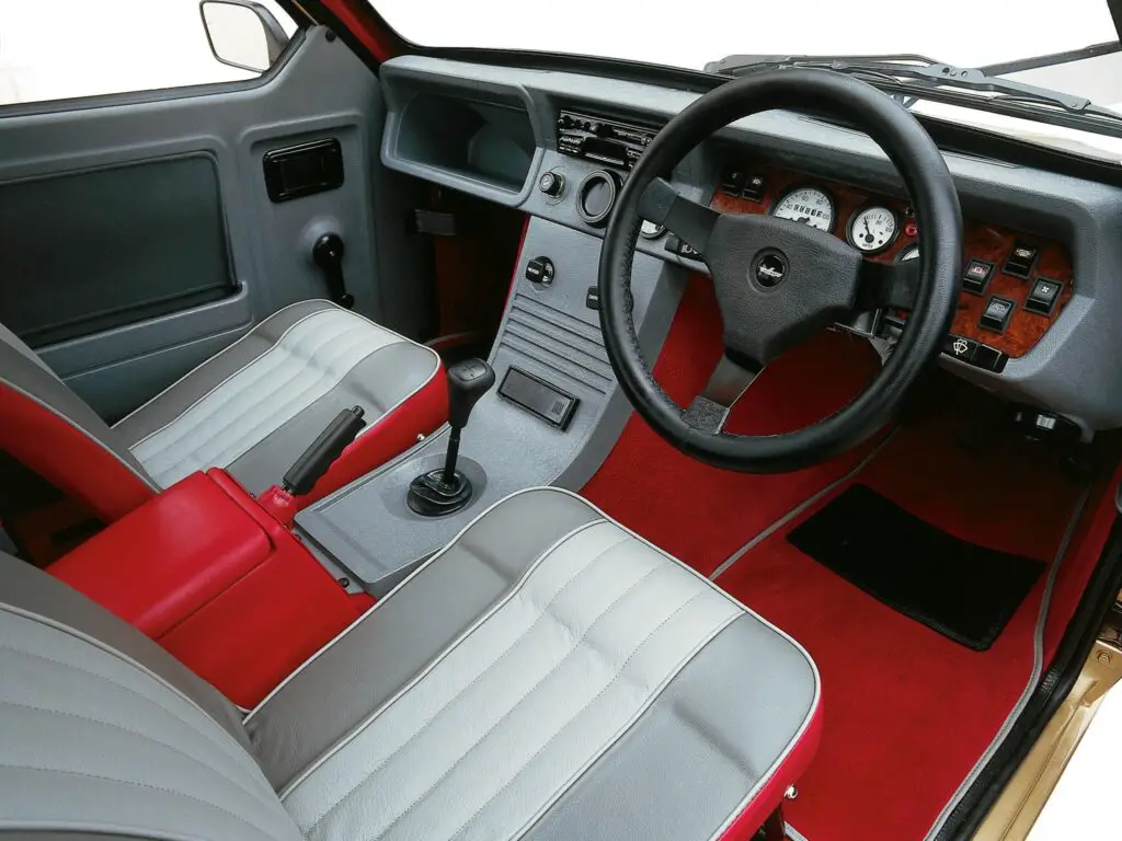 1973 reliant robin interior