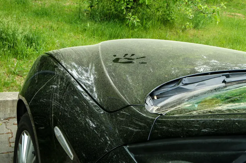 how to keep pollen off car